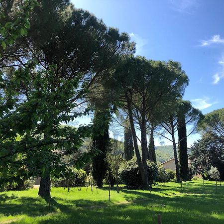 Gite Des Pins Saint-Maurice-d'Ibie ภายนอก รูปภาพ