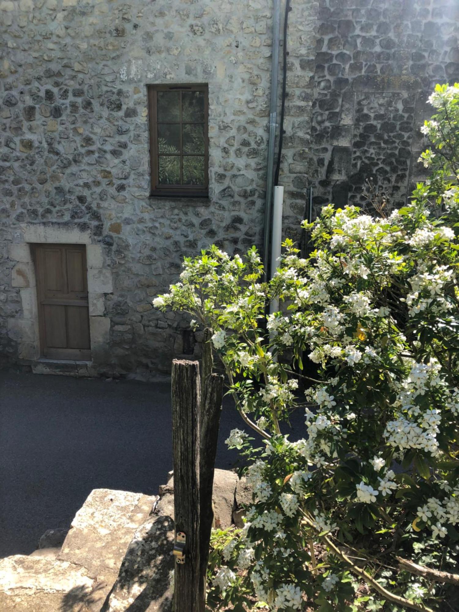 Gite Des Pins Saint-Maurice-d'Ibie ภายนอก รูปภาพ