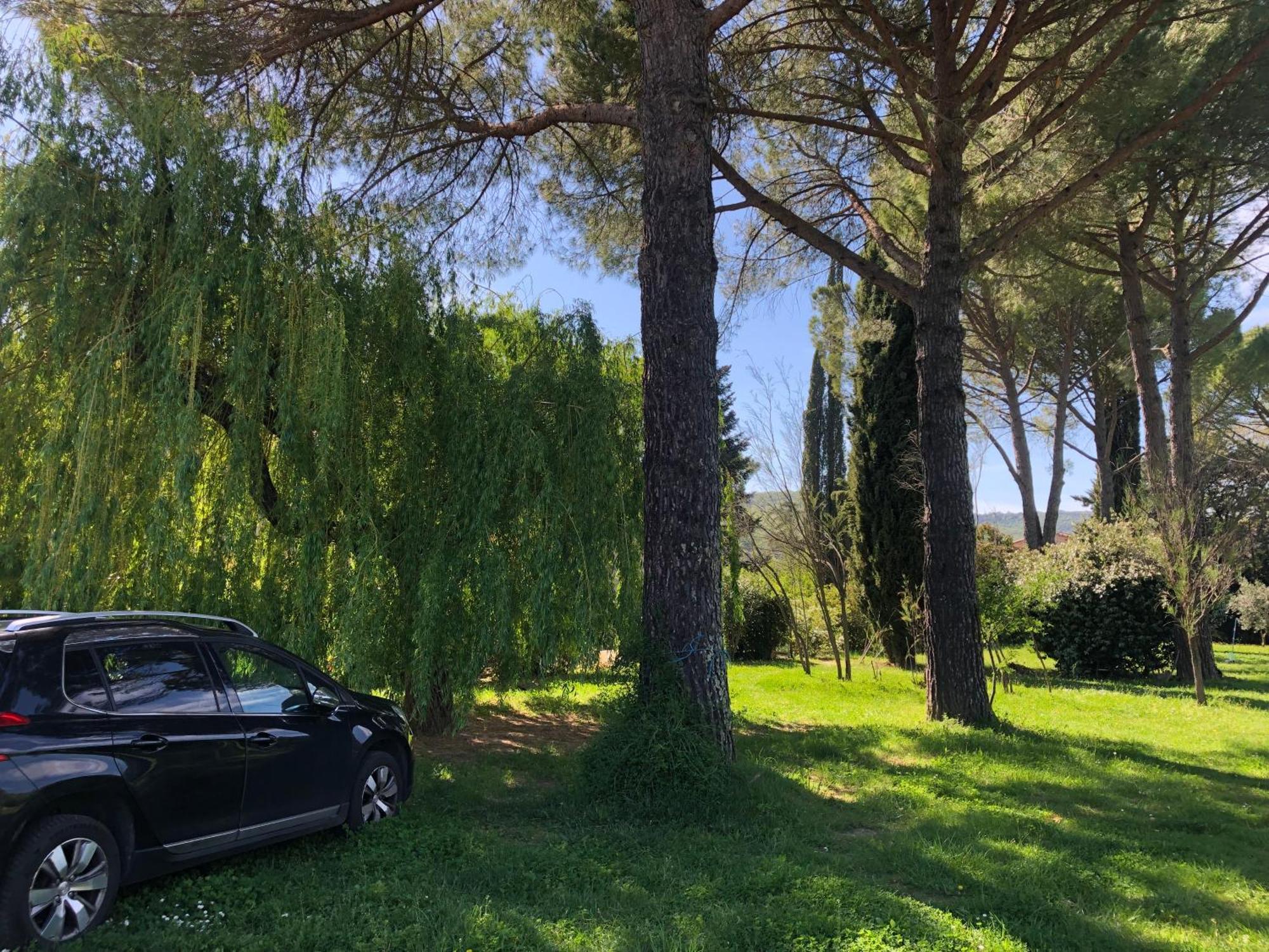 Gite Des Pins Saint-Maurice-d'Ibie ภายนอก รูปภาพ